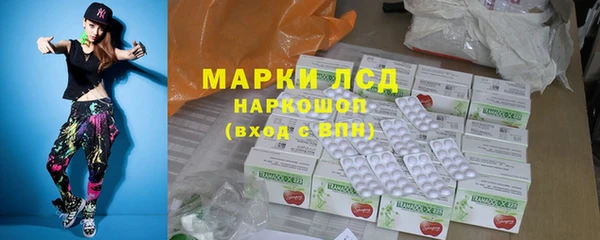 стаф Елабуга