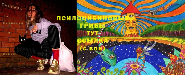 тгк Елизово
