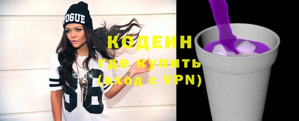 тгк Елизово