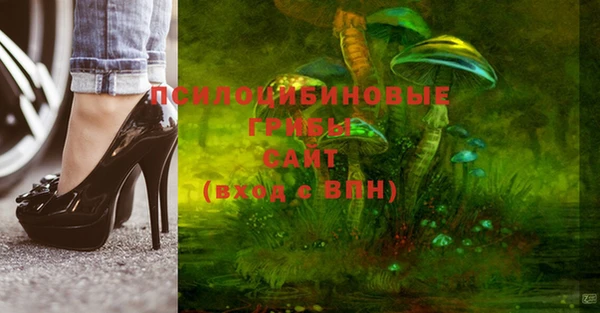 стаф Елабуга