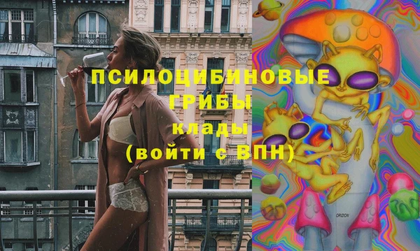 тгк Елизово