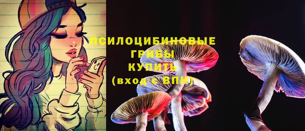 стаф Елабуга