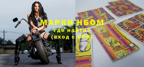 стаф Елабуга