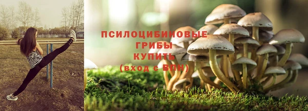 стаф Елабуга