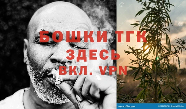 тгк Елизово