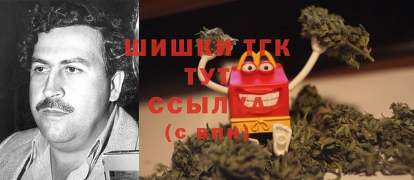 мескалин Ельня