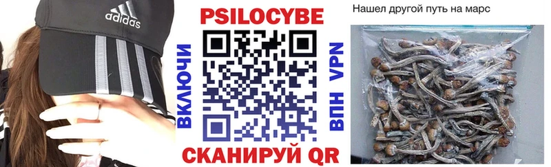 Псилоцибиновые грибы Cubensis  блэк спрут ссылки  Дербент 